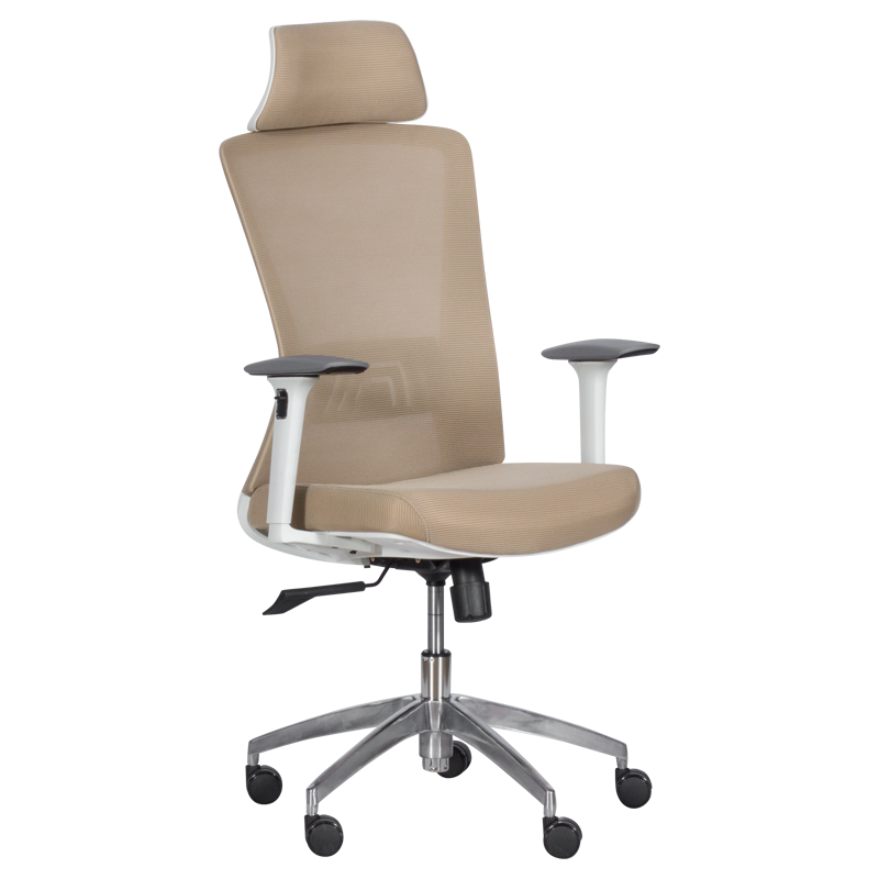 ergonomichen-stol-carmen-7542-w-bejov