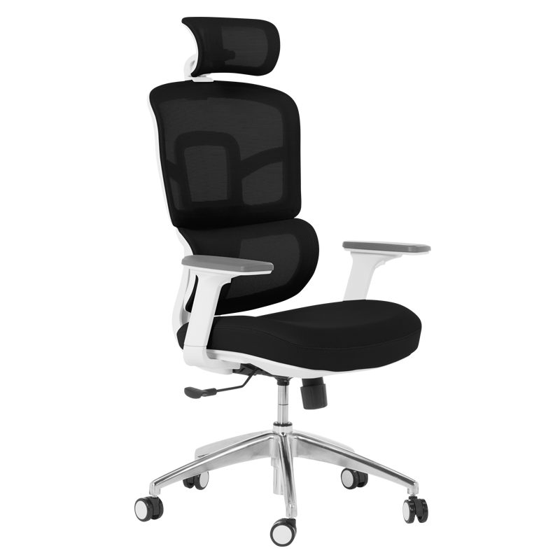 ergonomichen-stol-carmen-7579-cheren