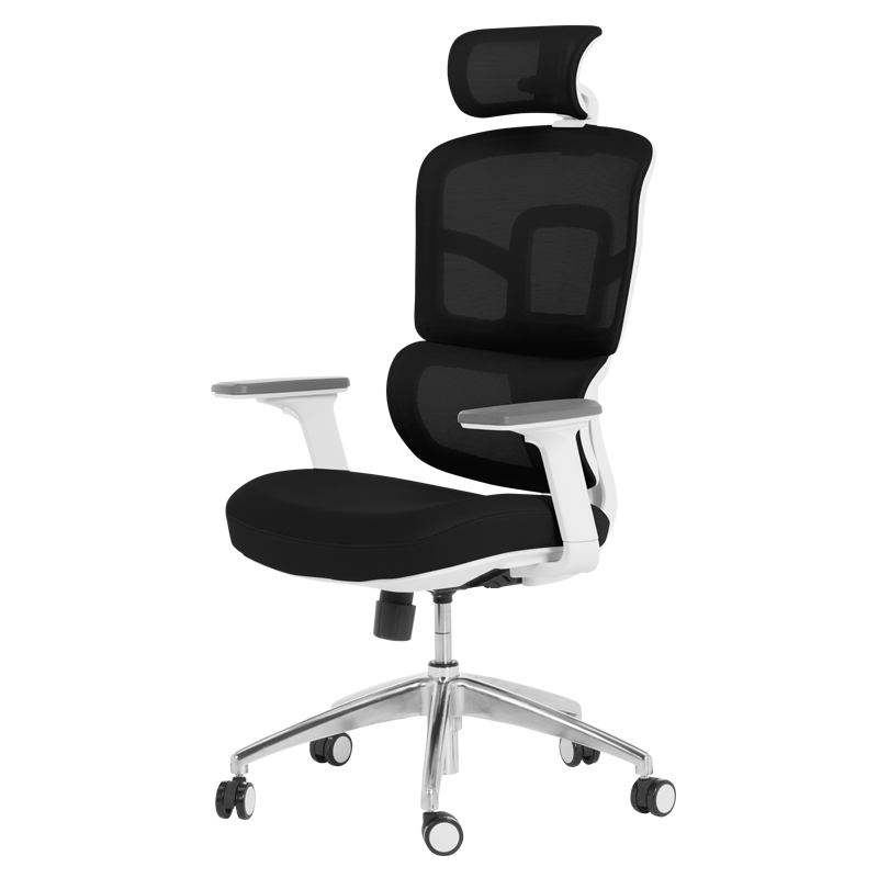 ergonomichen-stol-carmen-7579-cheren2
