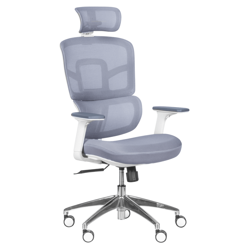 ergonomichen-stol-carmen-7579-siv