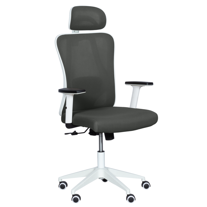 ergonomichen-stol-carmen-7588-grafit