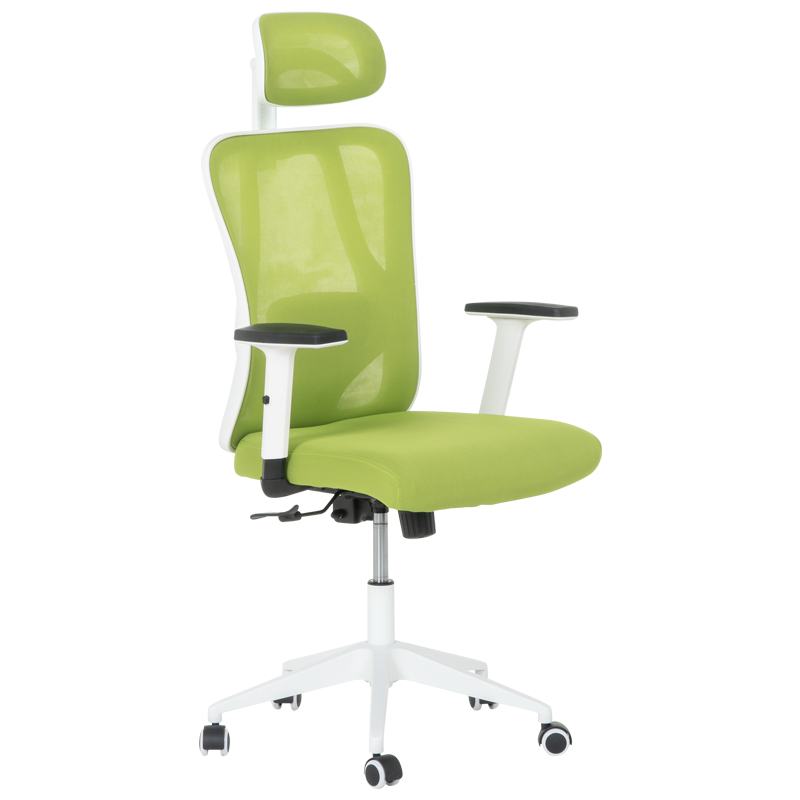 ergonomichen-stol-carmen-7588-zelen