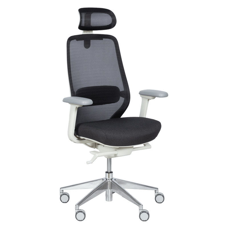 ergonomichen-stol-gland-cheren
