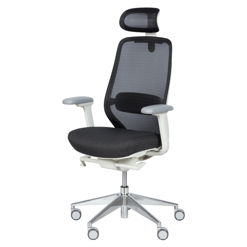 ergonomichen-stol-gland-cheren2