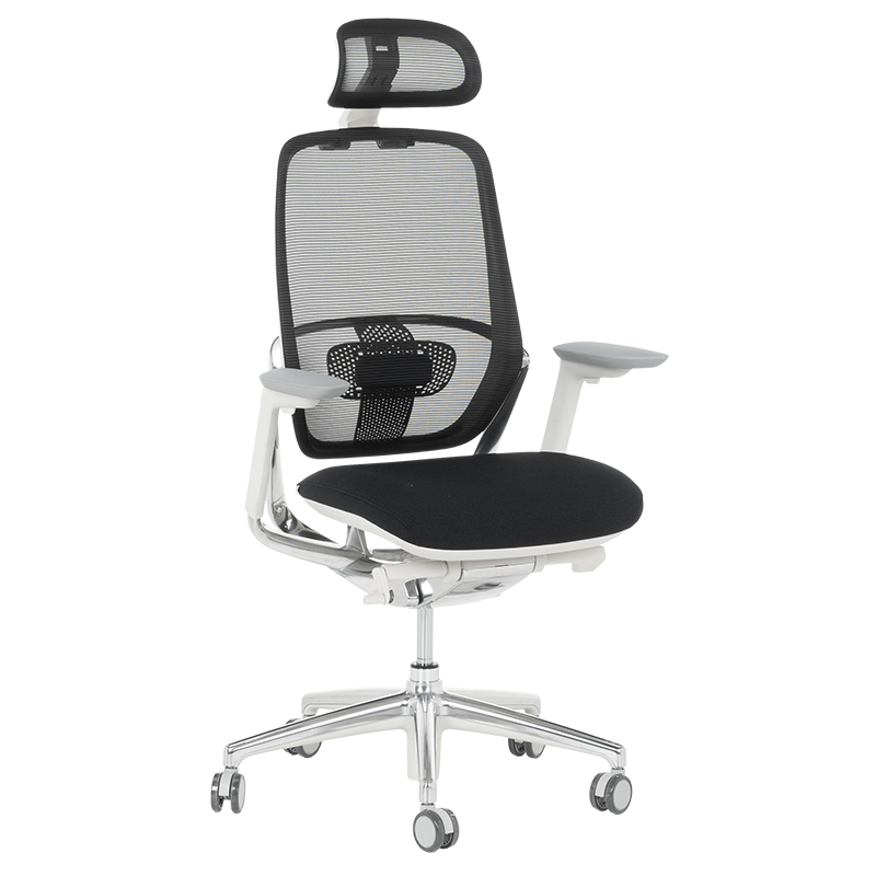 ergonomichen-stol-vaud-w-cheren