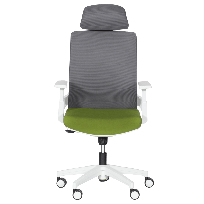 prezidentski-ofis-stol-carmen-7546-tymnozelen-siv1