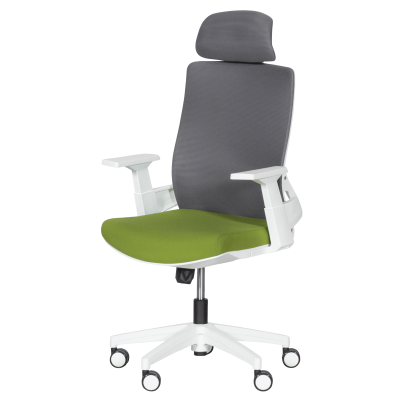 prezidentski-ofis-stol-carmen-7546-tymnozelen-siv2